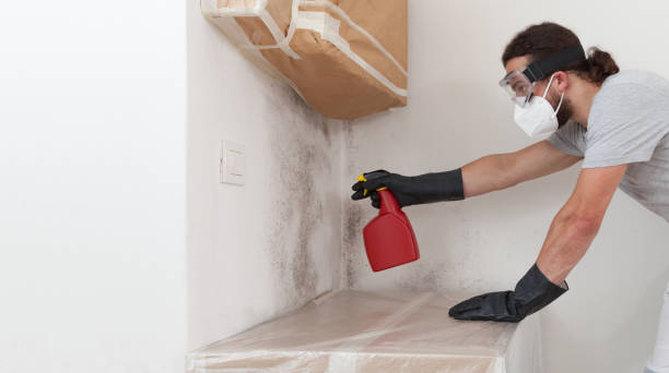Professional Mold Remediation technician working in Ferrum, VA