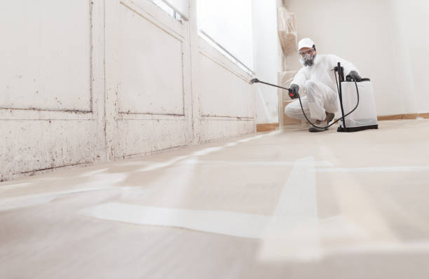 24/7 Emergency Mold Remediation experts in Ferrum, VA