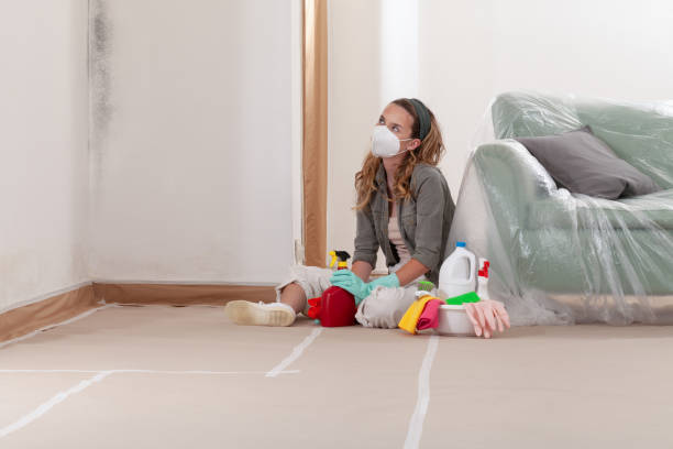 Reliable Mold Remediation contractor in Ferrum, VA by 24 Hour Mold Removal